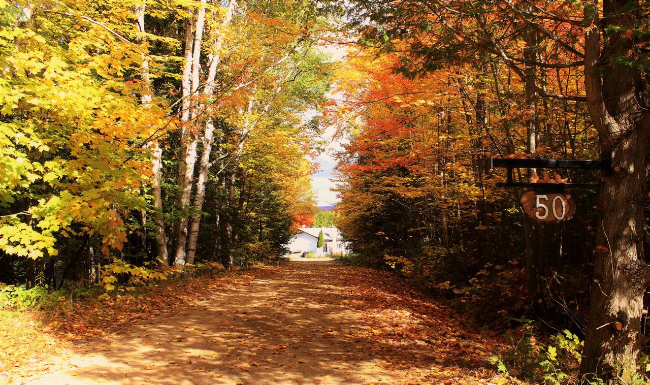 Chalet Riverain Crds Tremblant Lac-Superieur Dış mekan fotoğraf